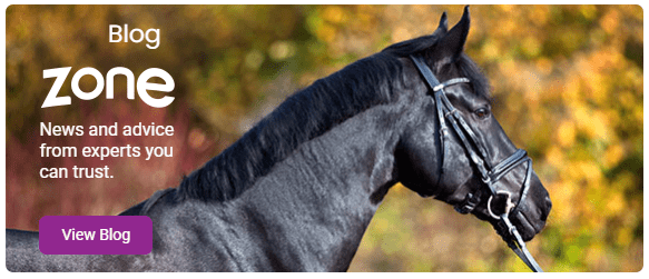 Horse feeds and Supplement Uk | Buy horse feed online