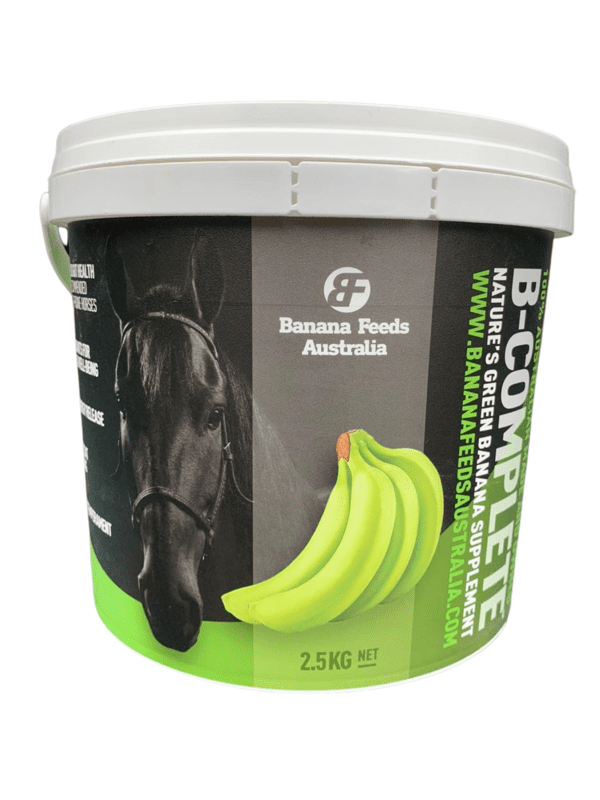 BFA B-COMPLETE 2.5KG BUCKET